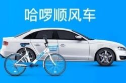 (教程经验)重庆 咨询_哔哩哔哩